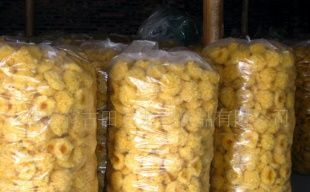 產(chǎn)地直銷，品質(zhì)無憂 古田銀耳（白木耳）的農(nóng)副產(chǎn)品魅力