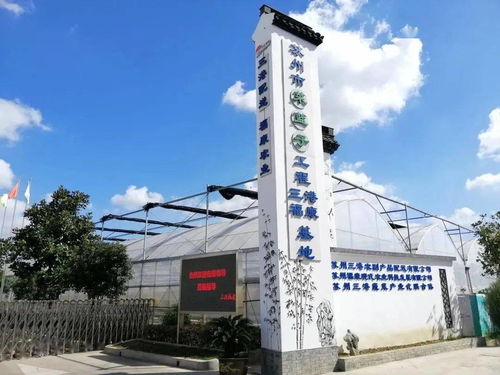 紓難解困，精準(zhǔn)服務(wù) 賦能農(nóng)副產(chǎn)品企業(yè)高質(zhì)量發(fā)展